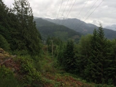 BC Hydro poles trail