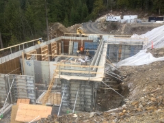 Dec 21 Lower basement walls