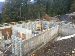 Jan 10 Lower basement walls