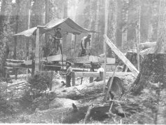 10885_Utopia-Camp-circa-1915