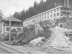 11945Mt-Sheer-Bunkhouse-Year-1920