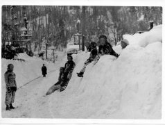 13056-Snow-Tracks-Kids