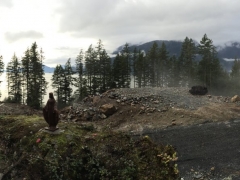 Panoramic_View_Feb2015
