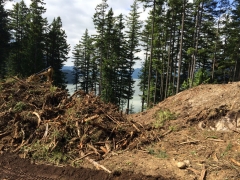 Road Construction Summer 2014