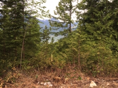 Road Construction Summer 2014