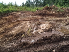 Road Construction Summer 2014