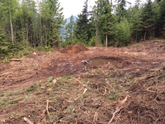 Road Construction Summer 2014