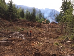 Road Construction Summer 2014