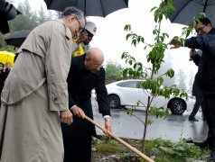 Tree planting