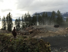 CRCC panoramic view February 2015