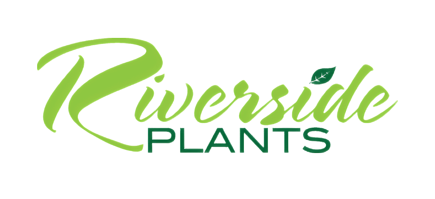 Riverside Plants — flower sponsor