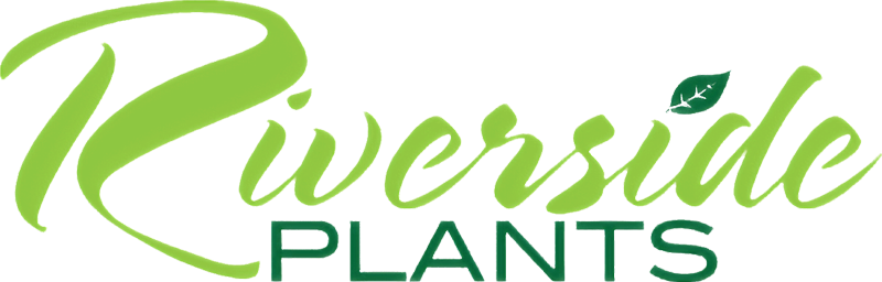 Riverside Plants